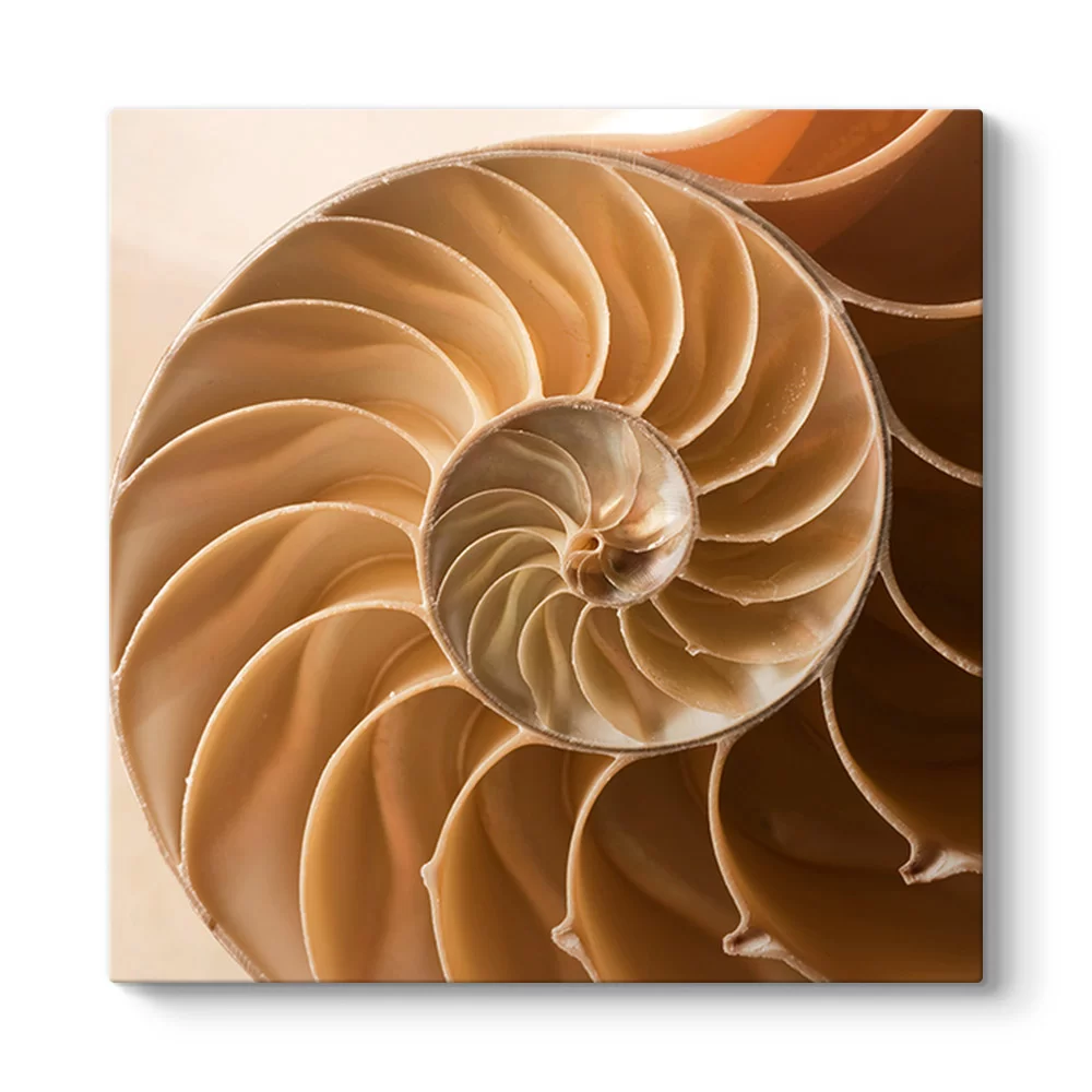 Spiral Tablosu - Model 3